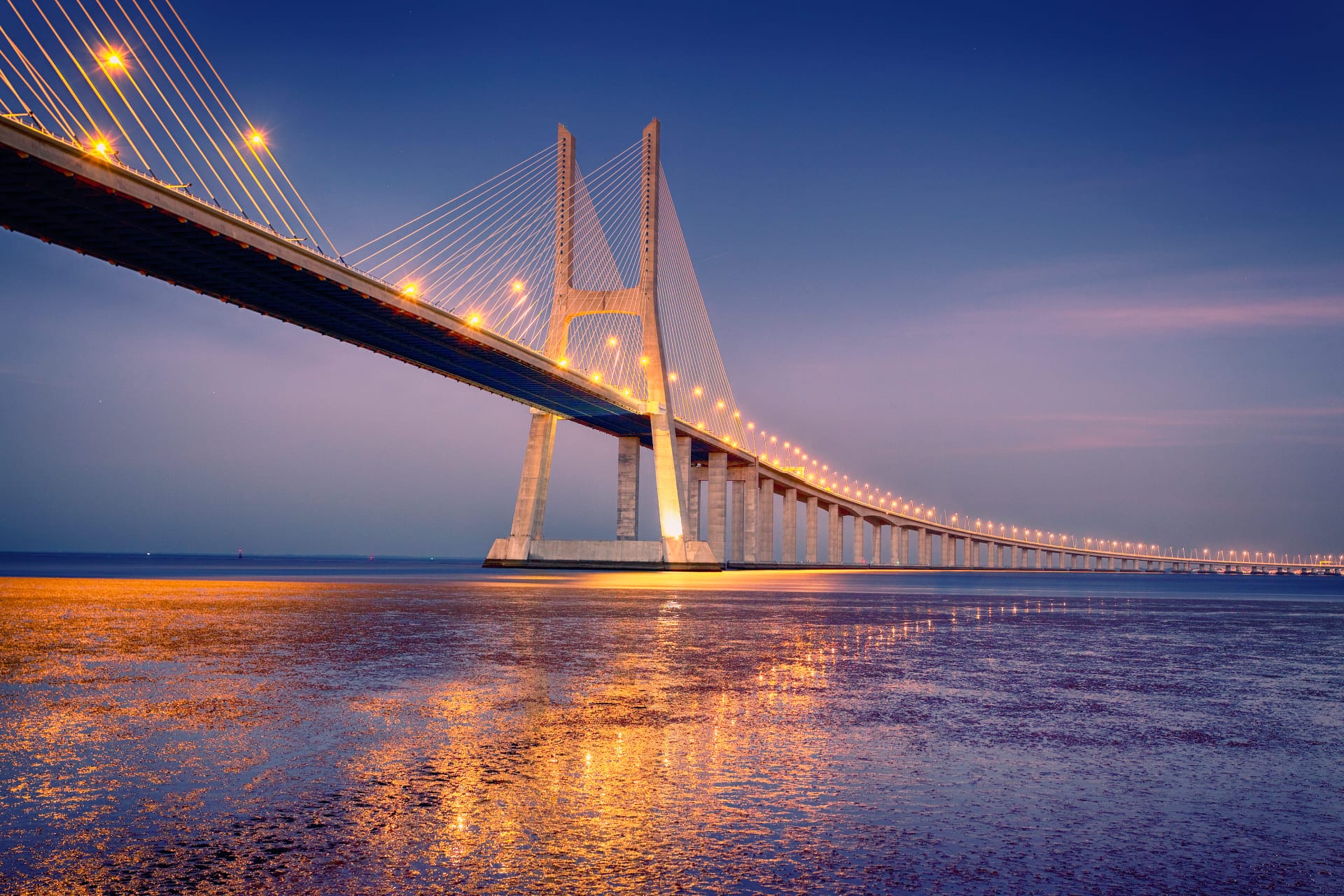 The night view of the Vasco da Gama bridge illustrates metal construction.